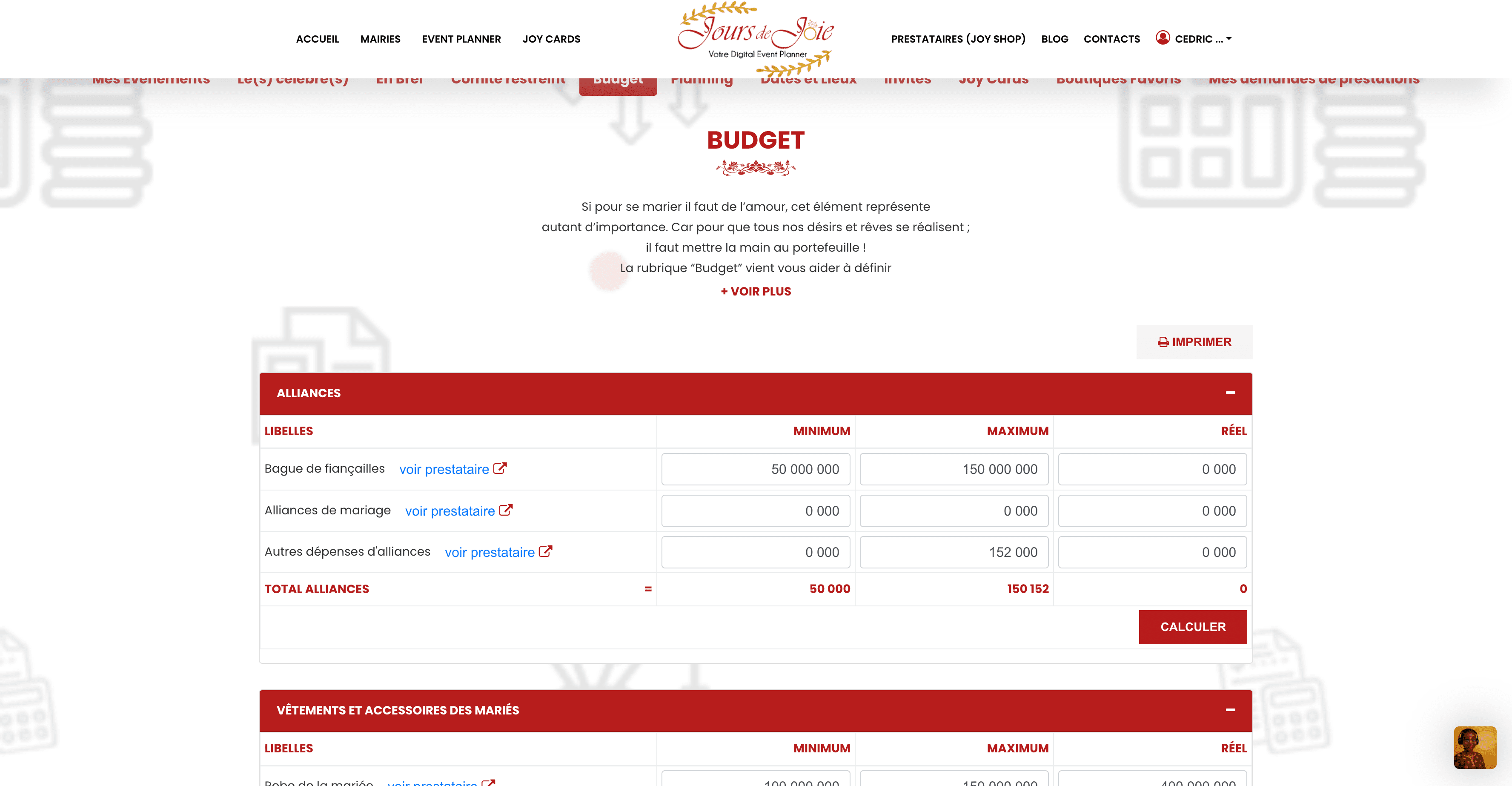 Rubrique Budget dans Jours de Joie
